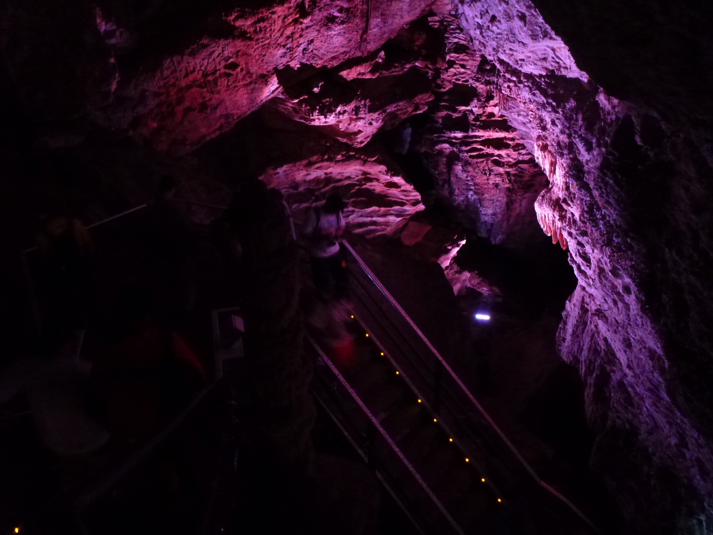 Estudos espeleológicos em caverna